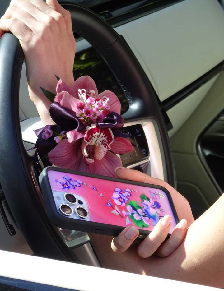 蝶影幻夢 Butterfly Dreams 手機殼